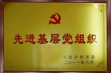 2011年被中共泸州市委评为先进基层党组织