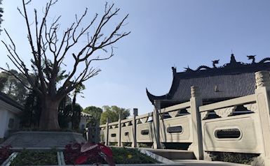 “生命之树”生态园